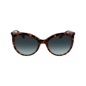 Longchamp Fall/Winter 2022 Collection Women's Sunglasses Brown | 618-TVUAGM