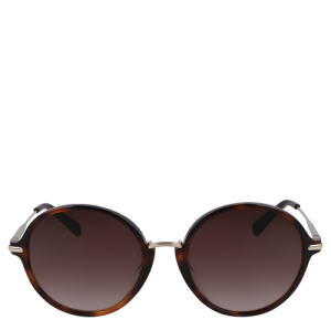 Longchamp Spring/Summer Collection 2022 Women's Sunglasses Brown | 490-WXTLRC