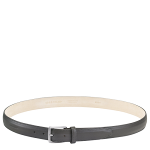 Longchamp Végétal Leather Men's Belts Grey | 213-FXJUAV